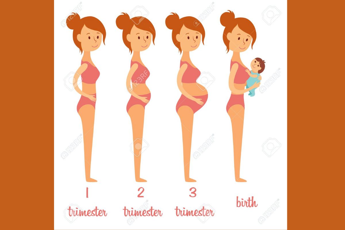 Body changes during pregnancy