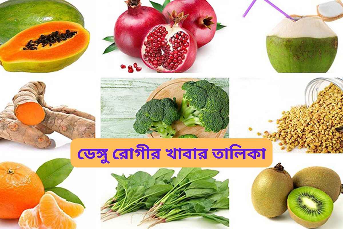 Food list for dengue patients